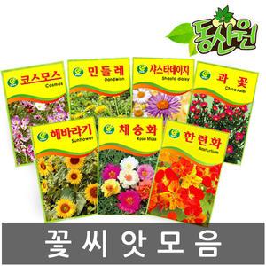 씨앗모음 소포장 꽃씨앗 해바라기 코스모스 채송화 봉선화 금계국 수레국화