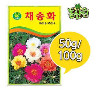 대용량 꽃씨 채송화씨앗 50g 100g 채송화종자 조경용 꽃씨앗