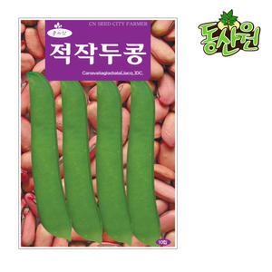 적작두콩씨앗 10립  붉은작두콩 콩씨앗 종자 텃밭채소