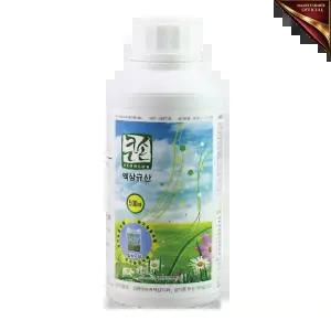 큰손 액상 500ml 수용성규산 인삼,마늘,고추,배추,과수 모든 작물 친환경 유기농 비료