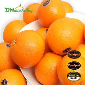 블랙라벨 고당도 오렌지 대용량 한박스 17kg내외