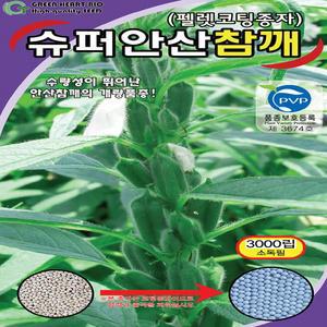 (씨앗) 슈퍼안산참깨 - 코팅참깨 - 가지깨 - 씨앗 종자 - 3천립