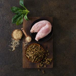 힐링펫 강아지수제사료 커팅형 닭고기사료 400g 10개