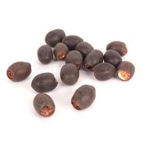 연꽃씨앗 4개 - (수생 수중 수경재배식물)