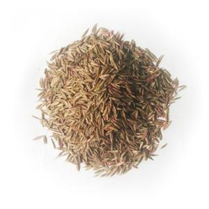 양잔디(혼합종자)2kg 씨앗 잔디 경사면 법면자재