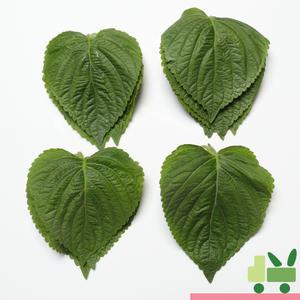 찹찹이 깻잎 (1상자) 1kg