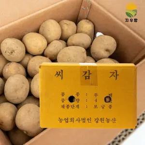 강원농산 정품 두백씨감자 4kg 주말농장 씨감자