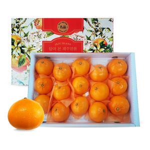 [딜픽]이웃마을 제주 천혜향 대과 13-20과 5kg(선물용)