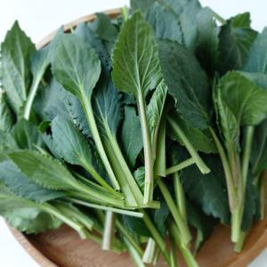 생 부지깽이나물 3kg 생나물 봄나물 부지갱이 울릉도취나물