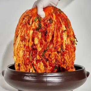 [플래노프]서울 중부식 프리미엄 포기김치(예약주문) / 국내산 고랭지 배추 금치 호텔김치