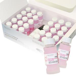 아이몬프로페셔널 솔리드 데미지 컨트롤 앰플 (손상모용) 15mlx30개