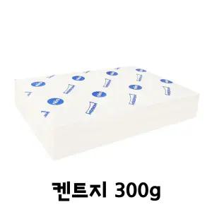 문구story 도화지 켄트지 300g 전지 2절 3절 4절 5절 8절 16절 A3 A4 A5 B4 B5