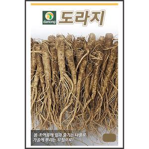 [모종심는아빠] 봄과 초여름에 잎과 줄기는 나물로 가을에 뿌리는 무침으로 도라지 종자 6g