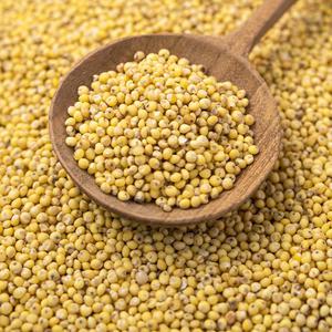 국산 찰기장 1kg l 노란 기장 쌀 잡곡