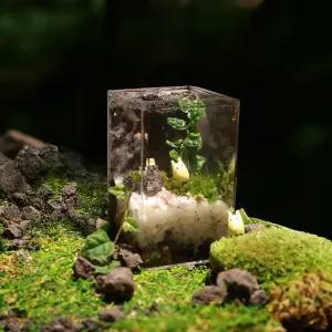 토토로 제주애기모람 테라리움 만들기 diy 키트