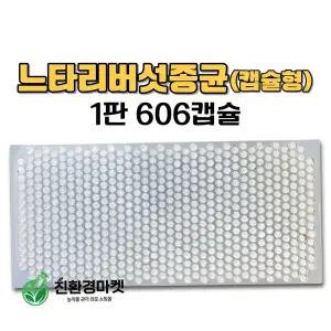 느타리버섯종균 접종형 캡슐형 총알버섯종균 재배 백화고  1판