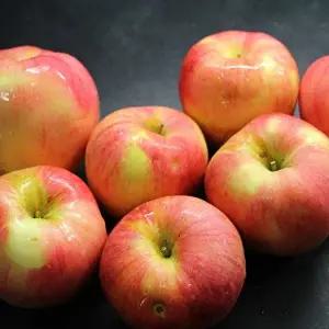 [절과당]T 산지직송 고당도 경북 부사 사과 가정용 실중량 2.5kg 소과