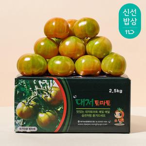 [품질보장] 달콤트리 대저토마토2.5KG (소과)