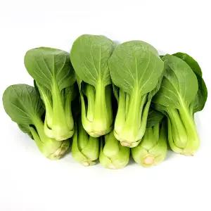 청경채 4kg 국내산 신선한 마라탕 샤브샤브 짬뽕 업소용 가정용 청경채