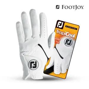 [AK골프] 풋조이 트로피쿨 남성 합피 골프장갑 66184E
