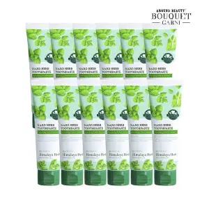 [부케가르니]히말라야 허브 나드 구취 케어 치약 100g x12개