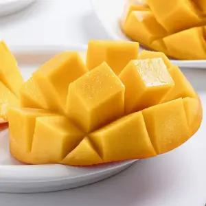 태국망고 골드망고 생망고 5kg