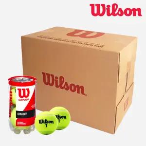 윌슨 챔피언쉽 캔볼 테니스공 1박스 36캔 72개