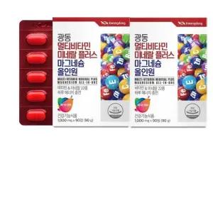 광동 멀티비타민미네랄 플러스 마그네슘 올인원 1000mg x 90정 1+1