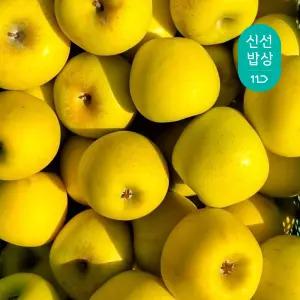 [당도선별] 정품 고당도! 25년 햇 산들앤 달코미 시나노 골드 사과 소과 6kg (34과내외)