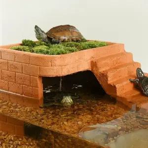 터틀 레이저백 쉼터 일광욕 다이 은신처 반수생거북이 커먼머스크 키우기 길이 소형