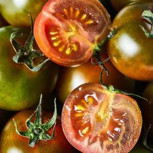 부산 대저 달콤짭짤 흑방울토마토 1kg