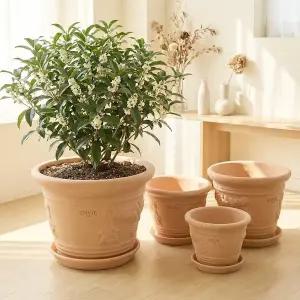 (받침증정) 앙비까사 매화 토분 빈티지토분 원예용품 정원