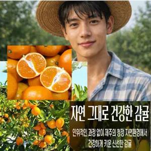 감귤5kg 제주 농장 고당도 감귤 [특가판매] 탱글탱글 꿀브릭스 제주 감귤, 1박스, 5kg