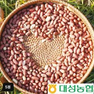 [농협]25년 대성농협 국산 고소한 볶음알땅콩 300gX5봉[35689962]