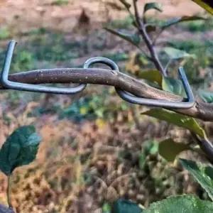 유인추 분재용 철사 개량형 M형 농자재 클립 고리 과수자재