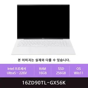 LG전자 그램 프로16 16ZD90TL-GX56K Win11설치(zoaa)