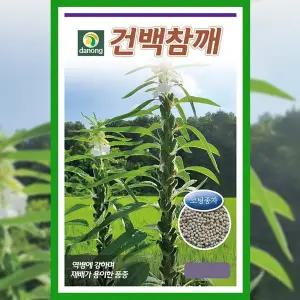 [파머씨드]건백 참깨 씨앗 3000립 텃밭 주말 농장 곡물 종자