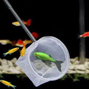 뜰채 그물 수조 접이식 스텐 새우 어항 물고기 낚시 수족관 안테나