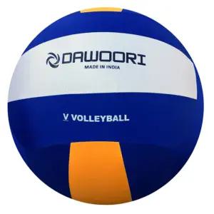 DWR 빅 발리볼(DWR-N1022)