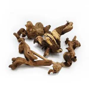 [어밥] 프리미엄 수초 활착 안시 파충류 은신 유목 랜덤 5개