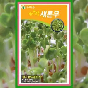 [파머씨드]새싹 새론무 씨앗 12g 채소 무순 식용 어린잎 종자 키우기