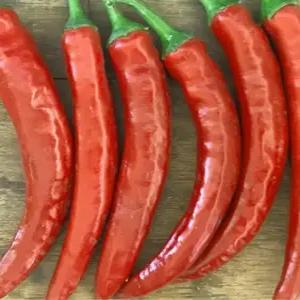 최고봉 고추 씨앗 채소 종자 고추씨 김장 야채 300알 (KR)