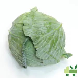 양배추 (3통) 38망