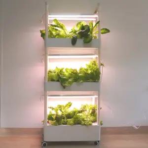 식물재배기 수경 재배기 가정용 상추 재배 실내 키우기 스마트팜 3단 채소