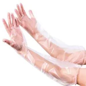10p 손목 긴 일회용 위생 장갑 방수 팔토시 비닐 긴장갑 긴비닐장갑 롱장갑