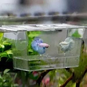 물고기 부화통 치어 투명 번식통 수족관 격리 상자 어항 악세사리 보호