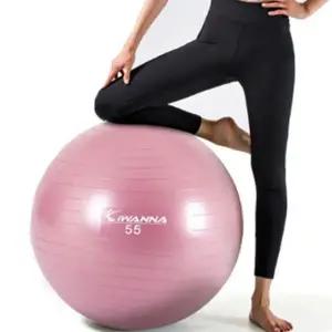 홈트 트레이닝 짐볼 고탄력 안티 다이어트 짐볼 55cm 필라테스 운동 코어 어린이