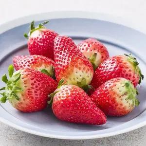 논산 홍희 딸기 900g 대왕특품 (44g 이상) / GAP 인증