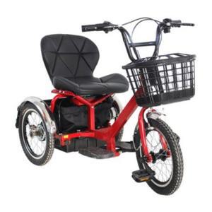 몽시클 삼륜 2인승 근거리 삼발이 전기자전거 강아지