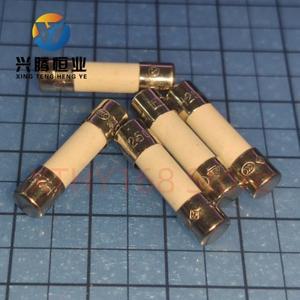 T8AH250V T8A 250V 카트리지 세라믹 퓨즈 5X20mm 100% 신규 및 기존